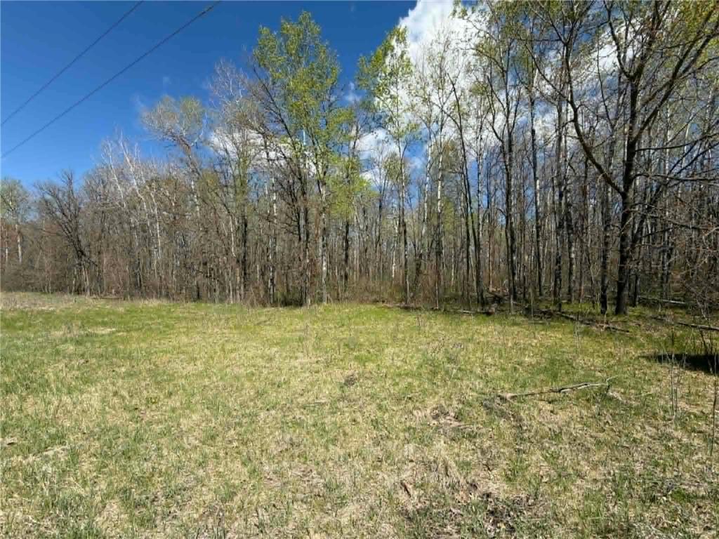 TBD Lamon Road NE Bemidji MN 56601 7081839 image1
