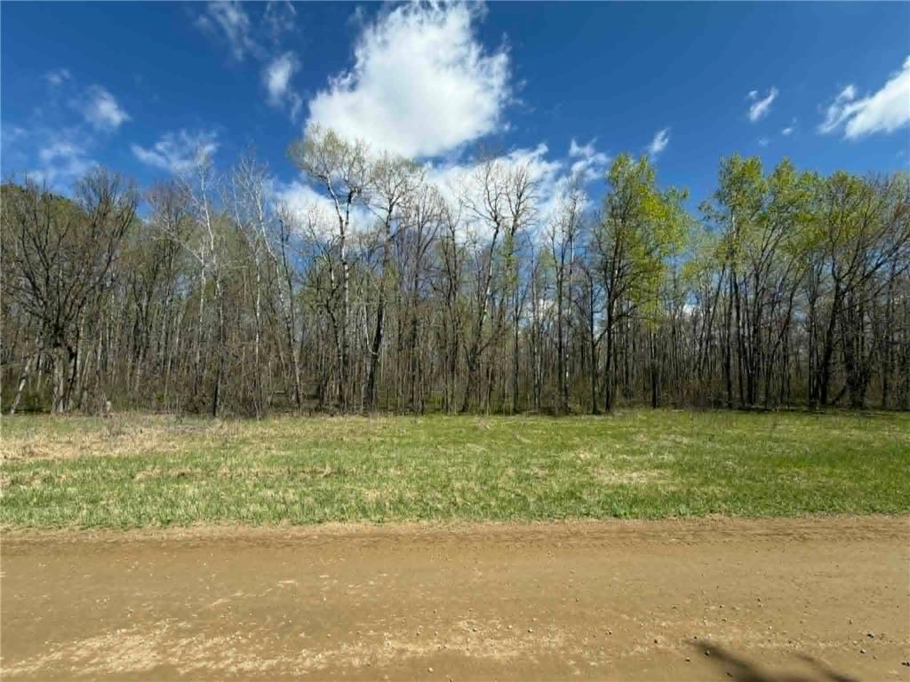 TBD Lamon Road NE Bemidji MN 56601 7081839 image3