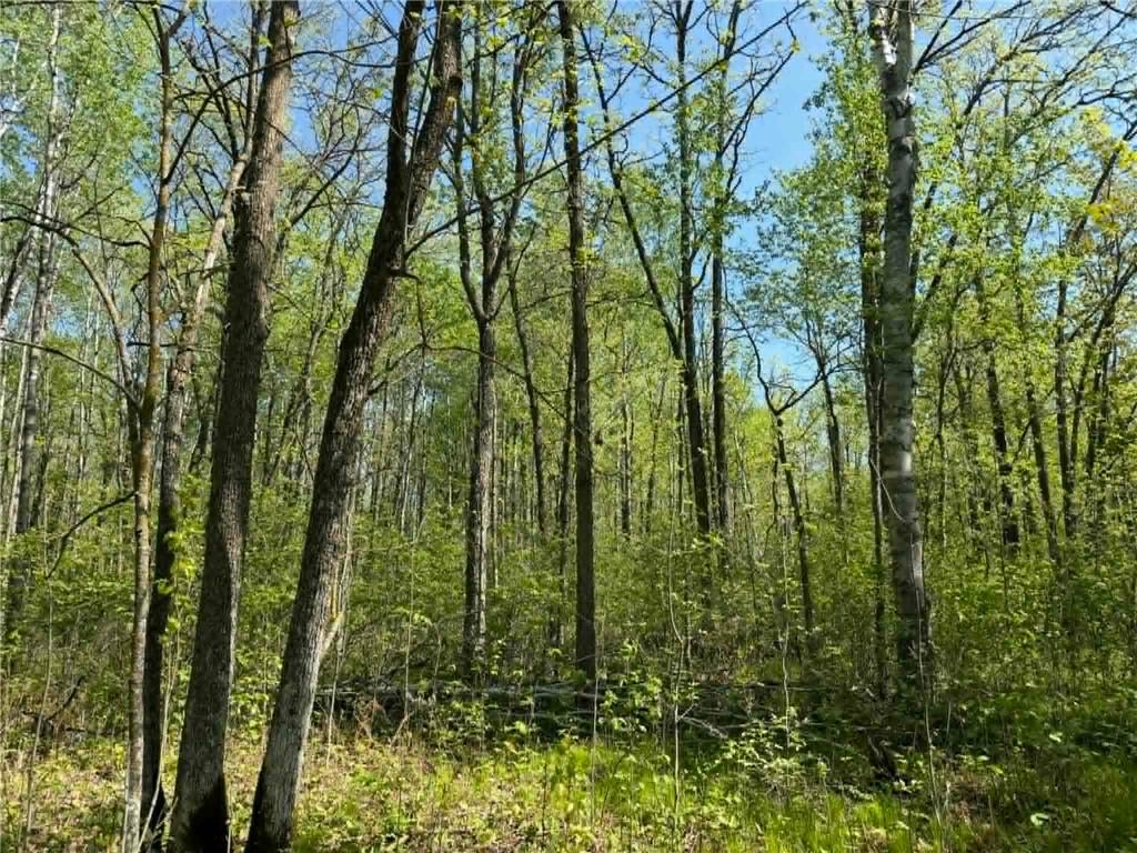 TBD Lamon Road NE Bemidji MN 56601 7081839 image4