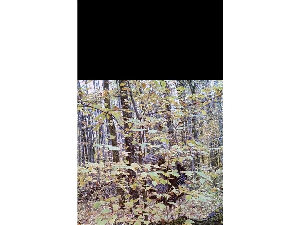 TBD Lamon Road NE Bemidji MN 56601 7081839 image6