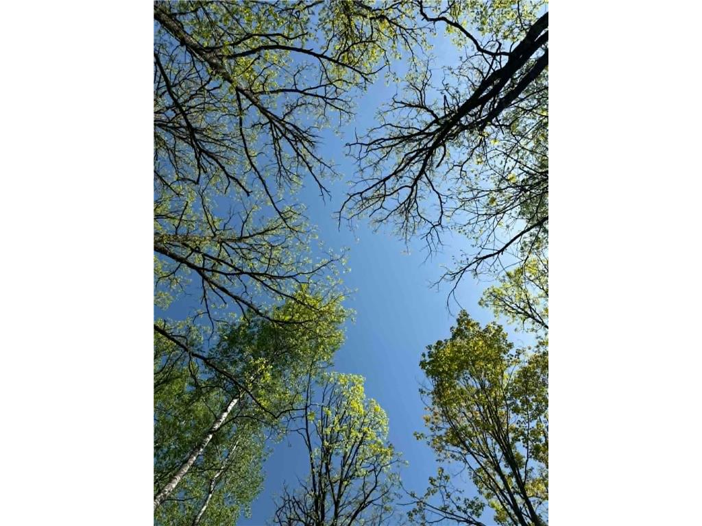 TBD Lamon Road NE Bemidji MN 56601 7081839 image7