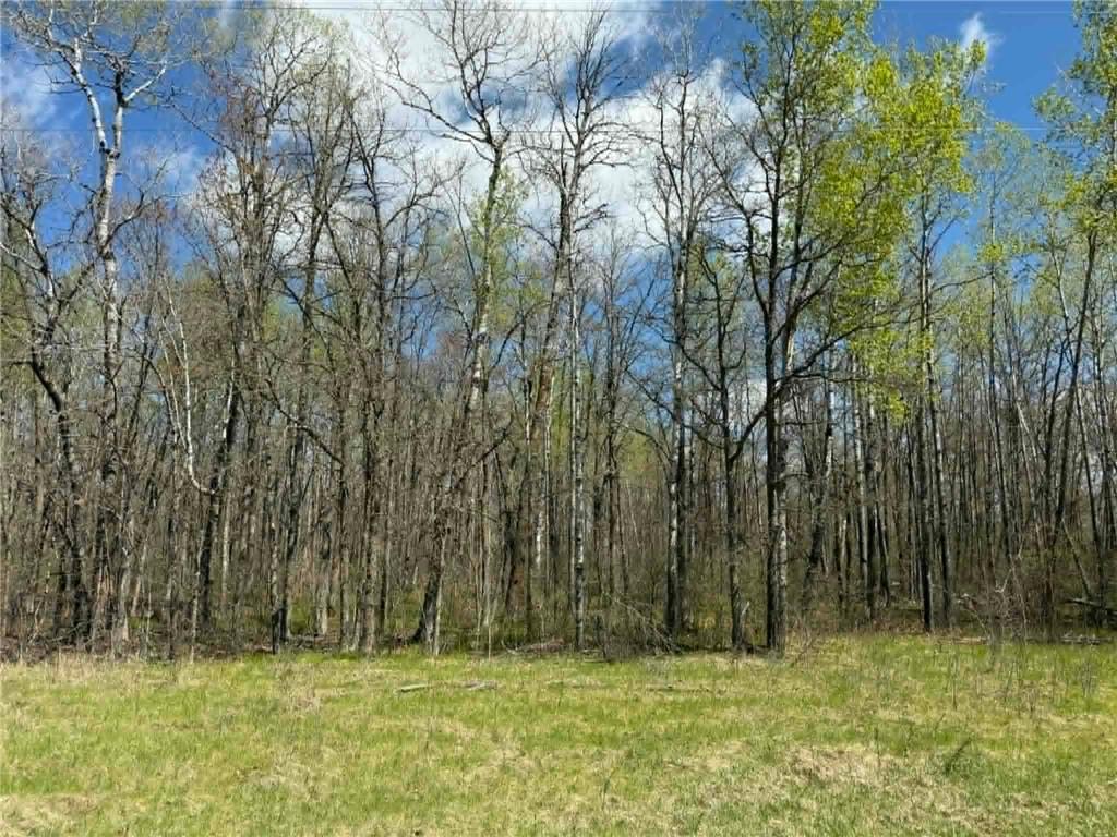 TBD Lamon Road NE Bemidji MN 56601 7081839 image8
