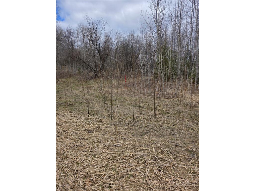 TBD Lampi Road Cohasset MN 55721 7068215 image2