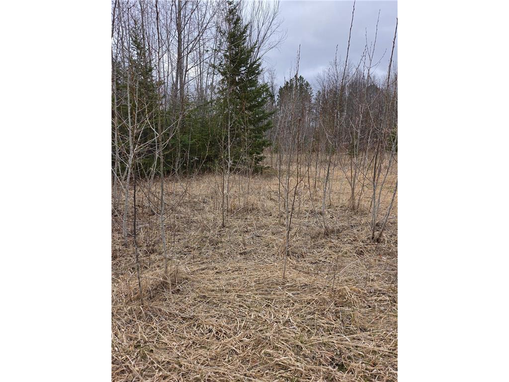 TBD Lampi Road Cohasset MN 55721 7068215 image3