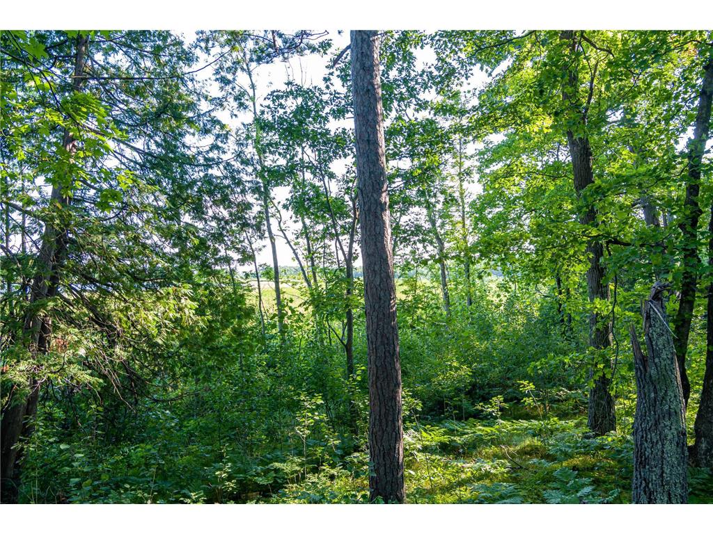 TBD Lantern Lane Hackensack MN 56655 - Woman 6779418 image13