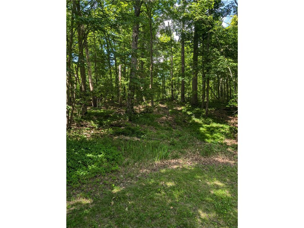 TBD Lantern Lane Hackensack MN 56655 - Woman 6779418 image15