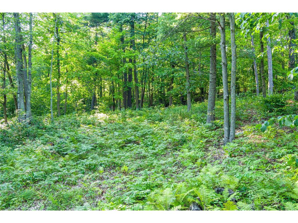 TBD Lantern Lane Hackensack MN 56655 - Woman 6779418 image16