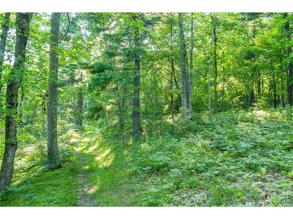 TBD Lantern Lane Hackensack MN 56655 - Woman 6779418 image17