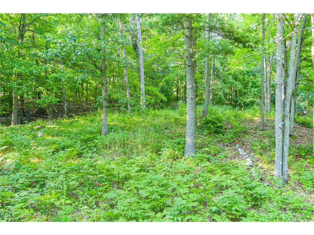 TBD Lantern Lane Hackensack MN 56655 - Woman 6779418 image18