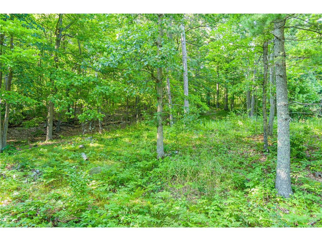 TBD Lantern Lane Hackensack MN 56655 - Woman 6779418 image19