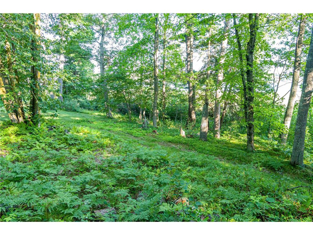 TBD Lantern Lane Hackensack MN 56655 - Woman 6779418 image20
