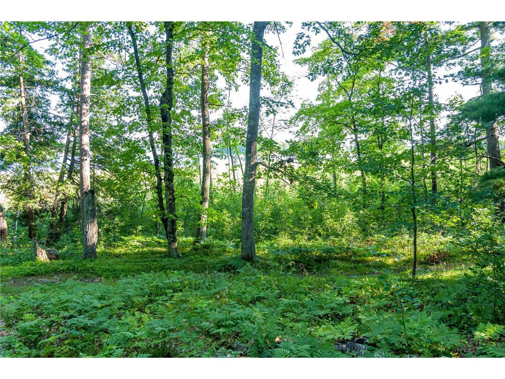 TBD Lantern Lane Hackensack MN 56655 - Woman 6779418 image21