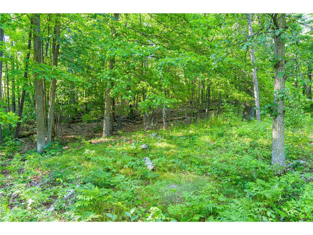 TBD Lantern Lane Hackensack MN 56655 - Woman 6779418 image22