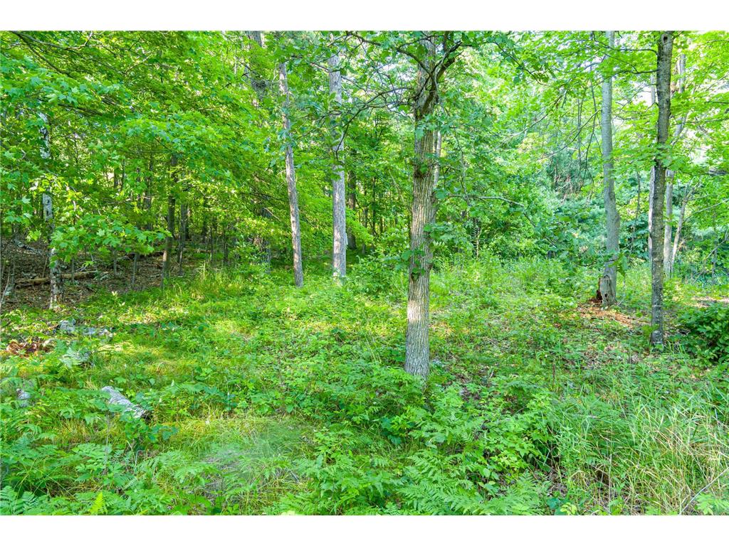 TBD Lantern Lane Hackensack MN 56655 - Woman 6779418 image23