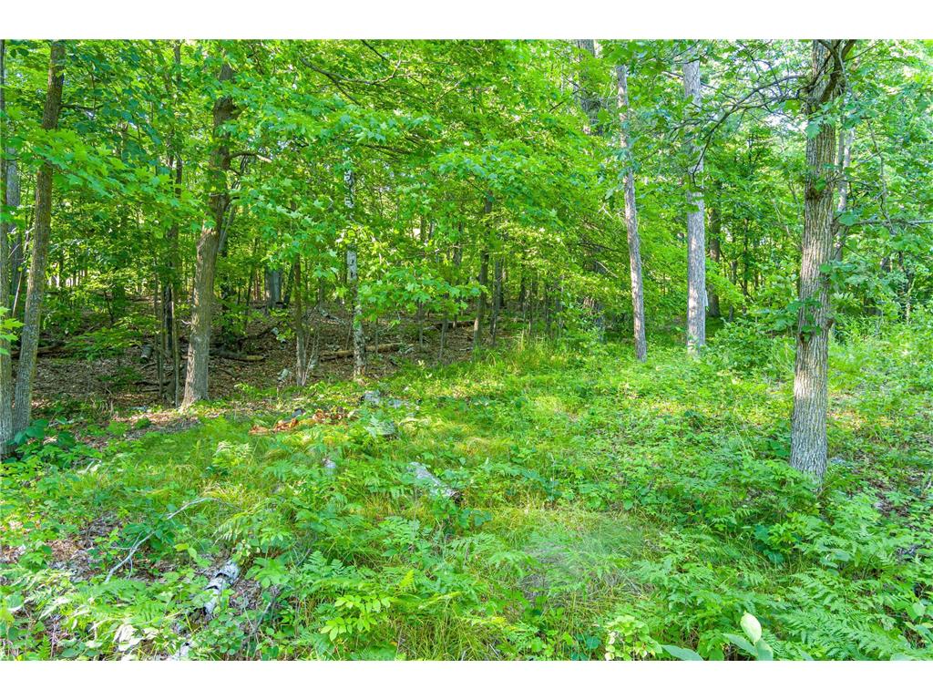 TBD Lantern Lane Hackensack MN 56655 - Woman 6779418 image24