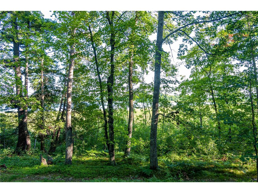 TBD Lantern Lane Hackensack MN 56655 - Woman 6779418 image26