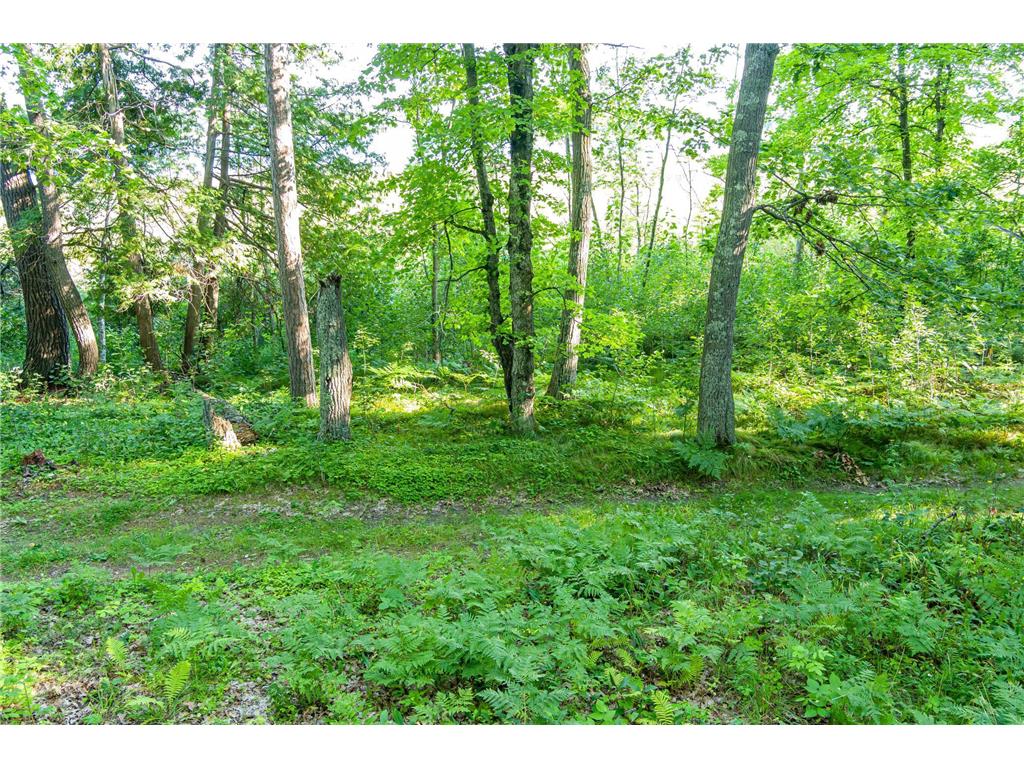 TBD Lantern Lane Hackensack MN 56655 - Woman 6779418 image27