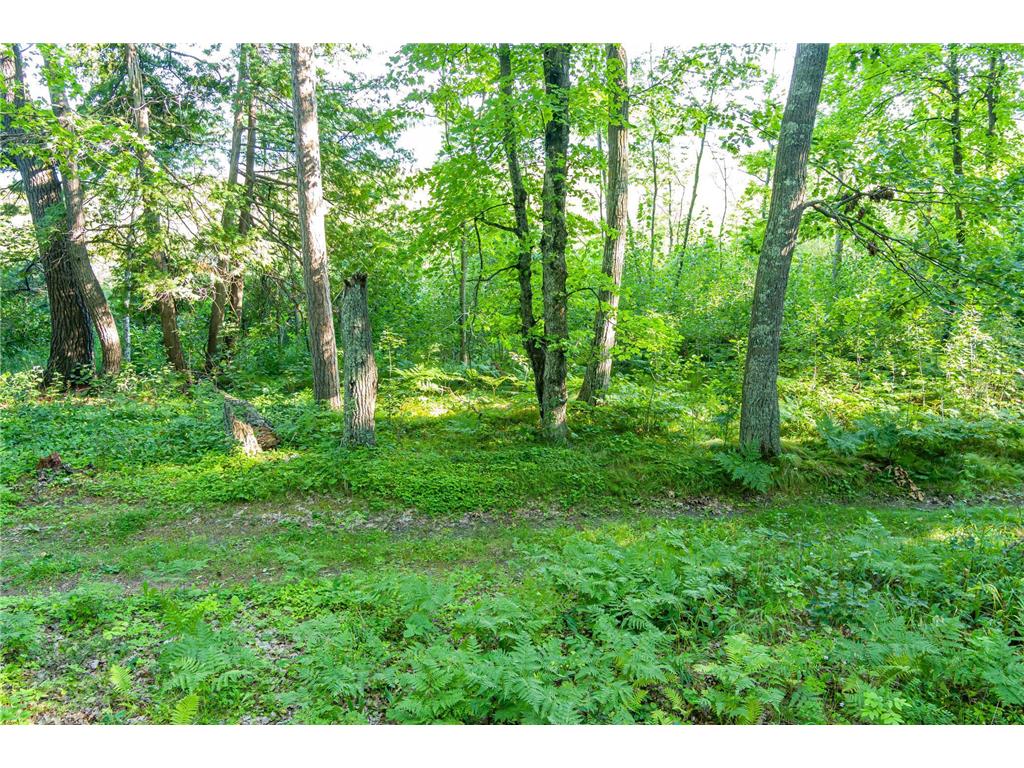 TBD Lantern Lane Hackensack MN 56655 - Woman 6779418 image28