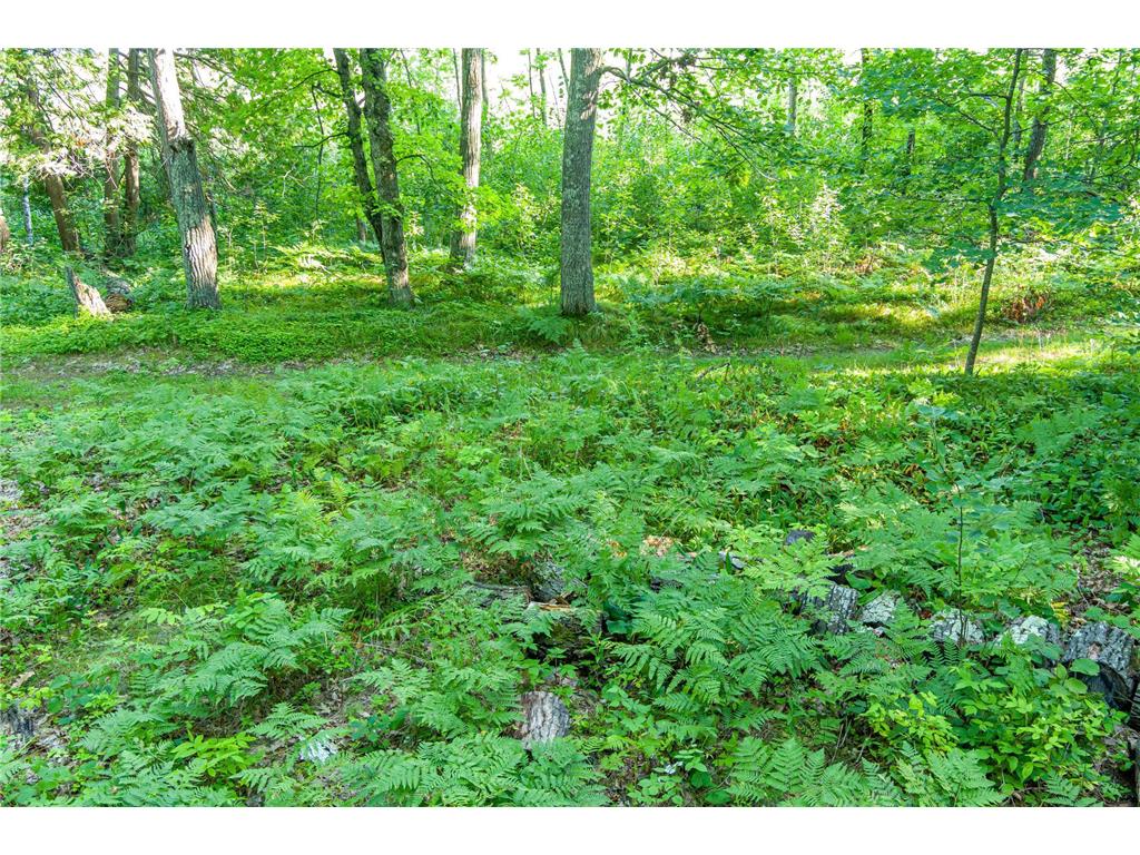 TBD Lantern Lane Hackensack MN 56655 - Woman 6779418 image29