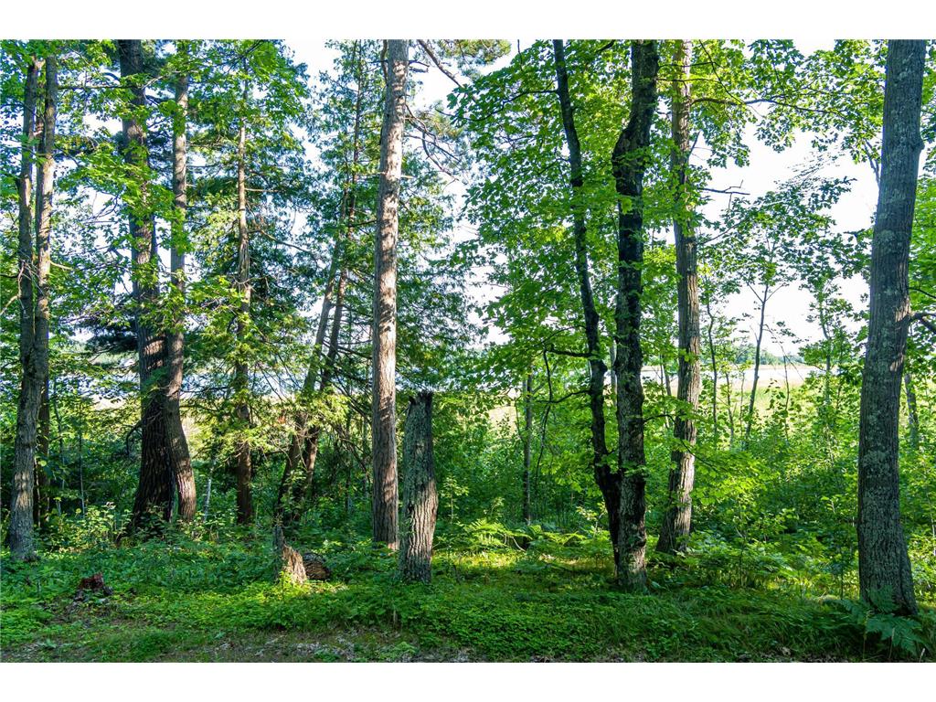 TBD Lantern Lane Hackensack MN 56655 - Woman 6779418 image30