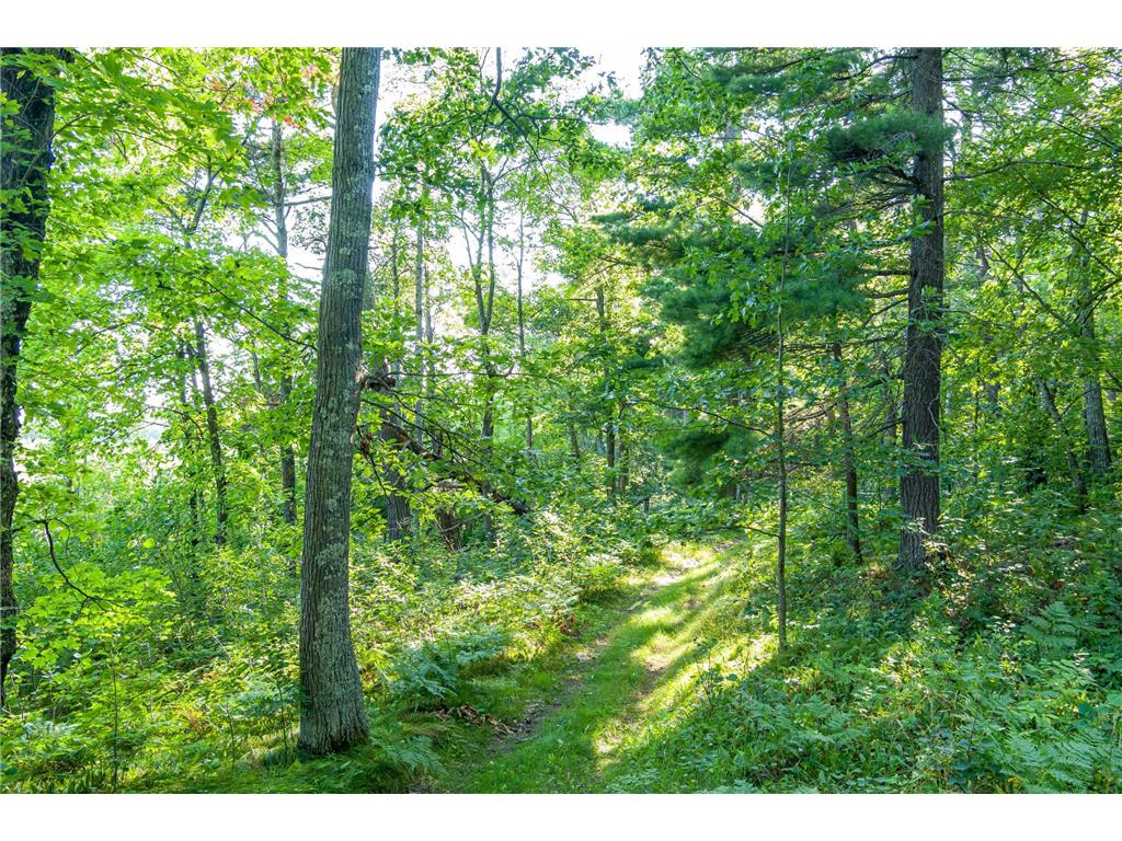 TBD Lantern Lane Hackensack MN 56655 - Woman 6779418 image31