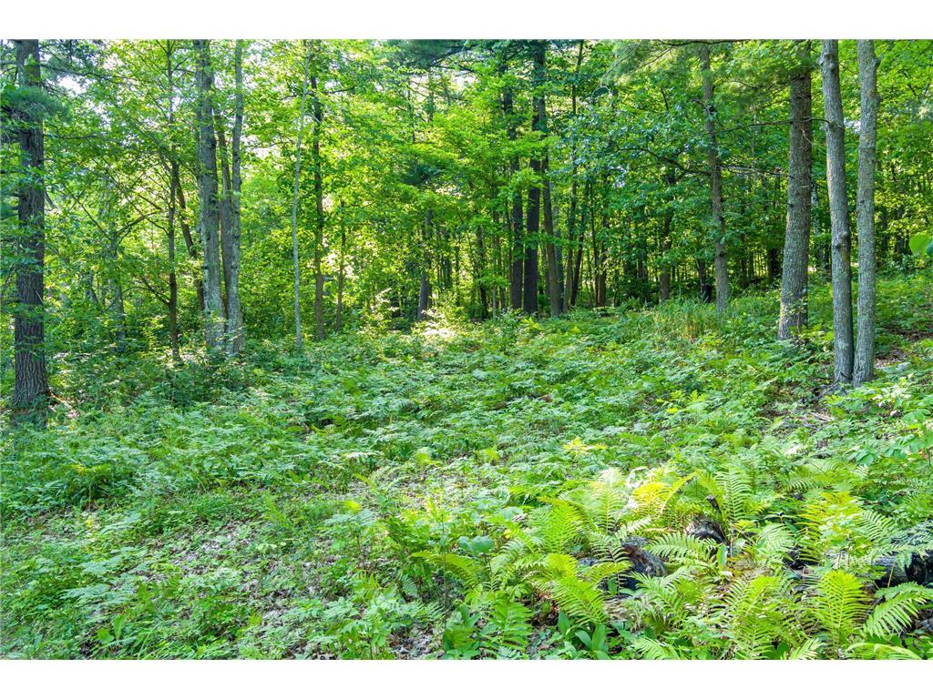 TBD Lantern Lane Hackensack MN 56655 - Woman 6779418 image32