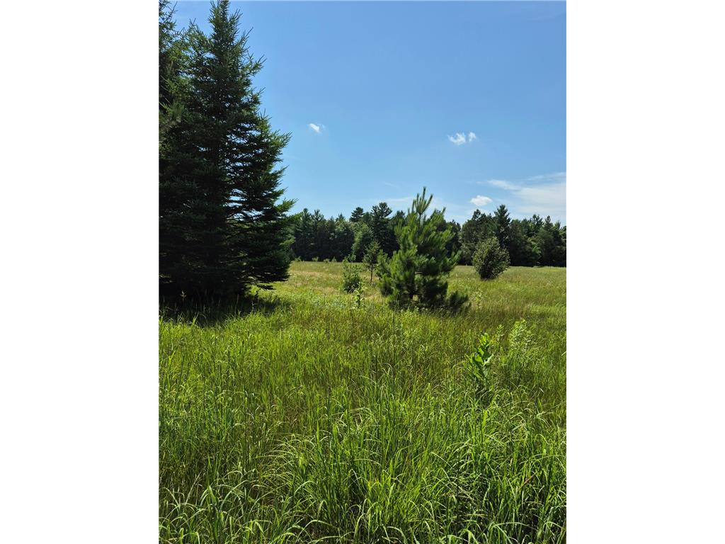 TBD Lara Road Grantsburg WI 54840 7111666 image12