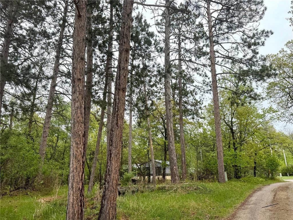 TBD Lavinia Road NE Northern Twp MN 56601 6724949 image1