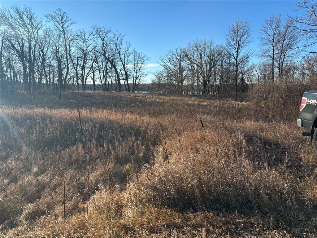 TBD Leaf River Road Leaf Lake Twp MN 56571 - Middle Leaf 6816900 image4
