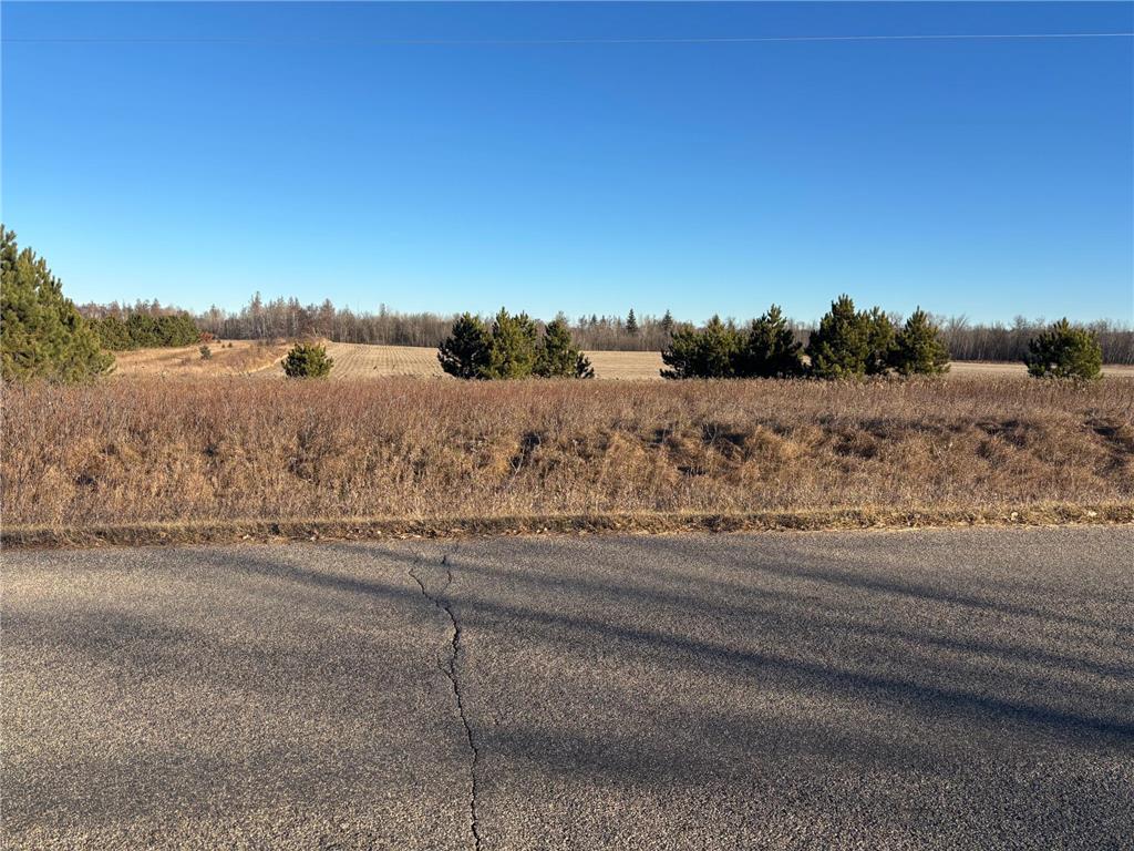 TBD Leaf River Road Leaf Lake Twp MN 56571 - Middle Leaf 6816900 image6