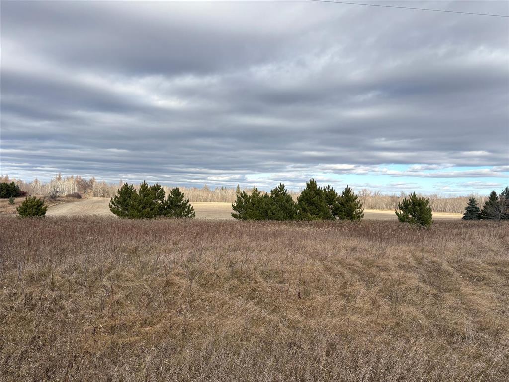 TBD Leaf River Road Leaf Lake Twp MN 56571 - Middle Leaf 6816900 image7