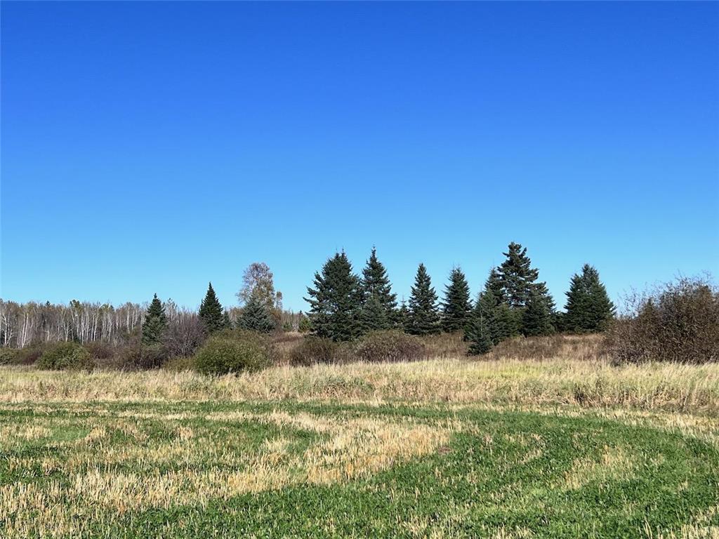 TBD Leander Rd Field Twp MN 55703 6803047 image1