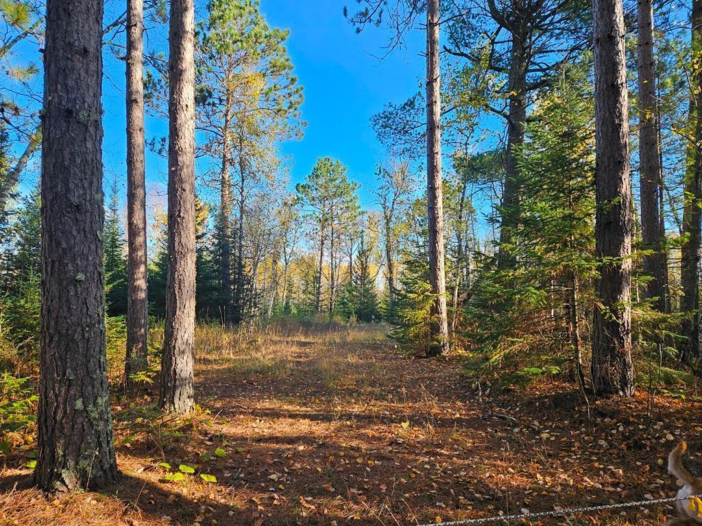 TBD Leathers Road Orr MN 55771 6801229 image1