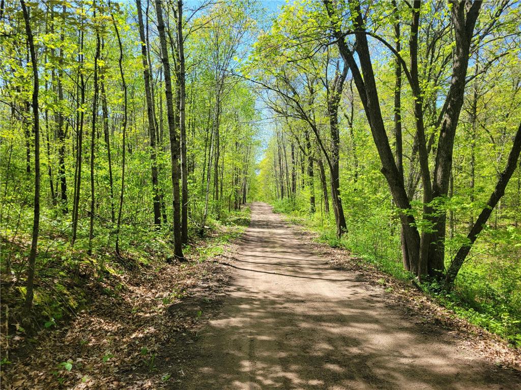 TBD Leisure Lane Maple Grove Twp MN 56401 6538908 image1