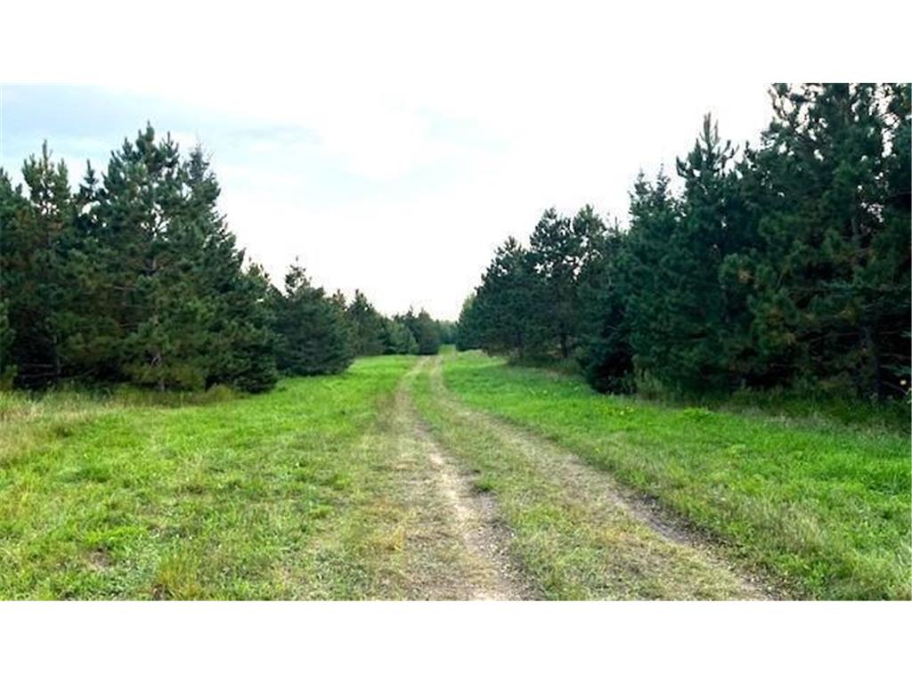 TBD Leonard Rd / Soo Line Rd Holst Twp MN 56652 6784478 image1