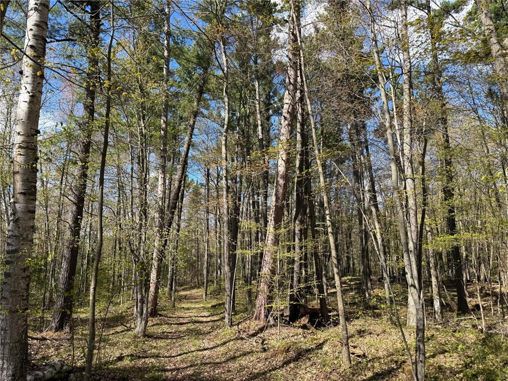 TBD Leonard Road Birchwood WI 54817 - Mud Lake 7075462 image11