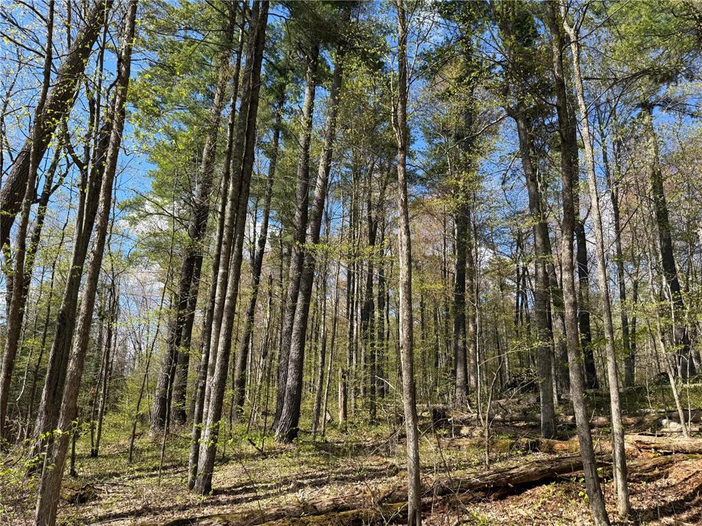 TBD Leonard Road Birchwood WI 54817 - Mud Lake 7075462 image17