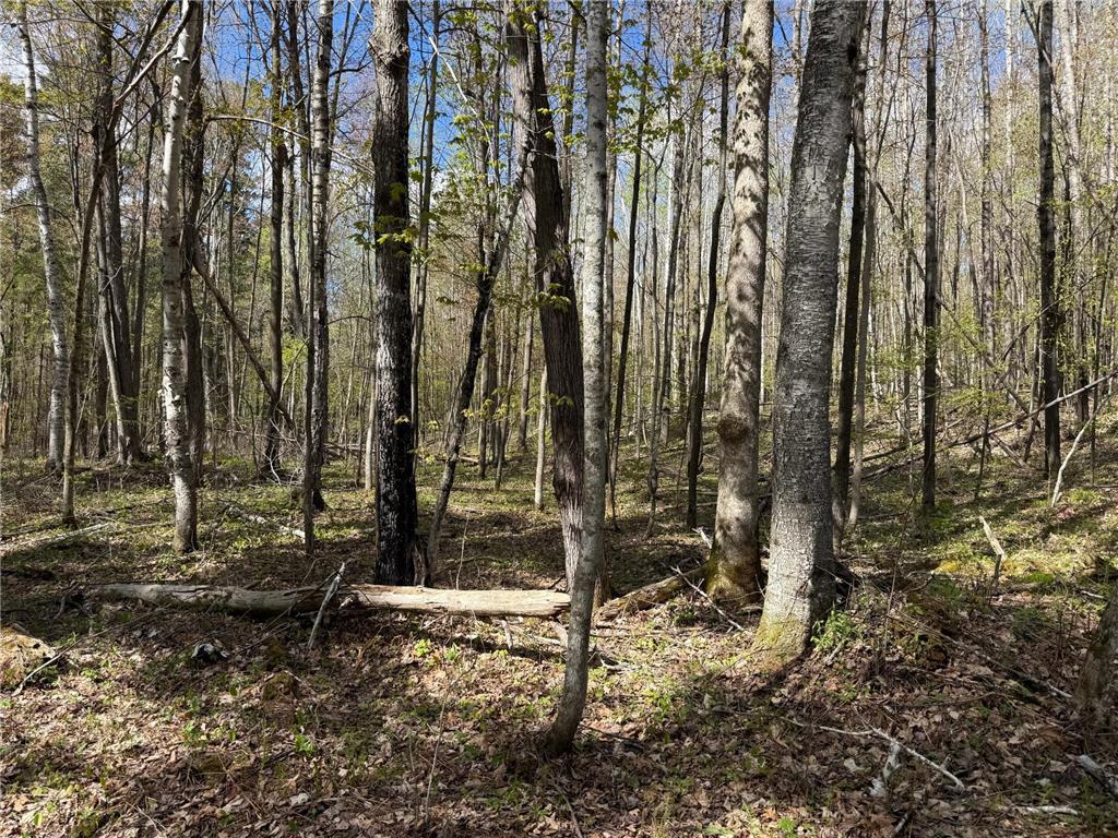 TBD Leonard Road Birchwood WI 54817 - Mud Lake 7075462 image18