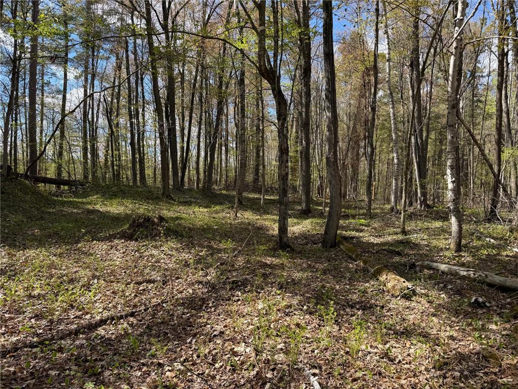 TBD Leonard Road Birchwood WI 54817 - Mud Lake 7075462 image19
