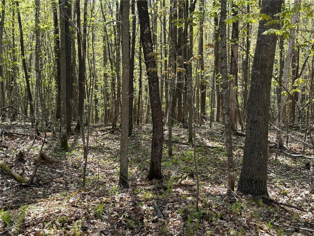 TBD Leonard Road Birchwood WI 54817 - Mud Lake 7075462 image20