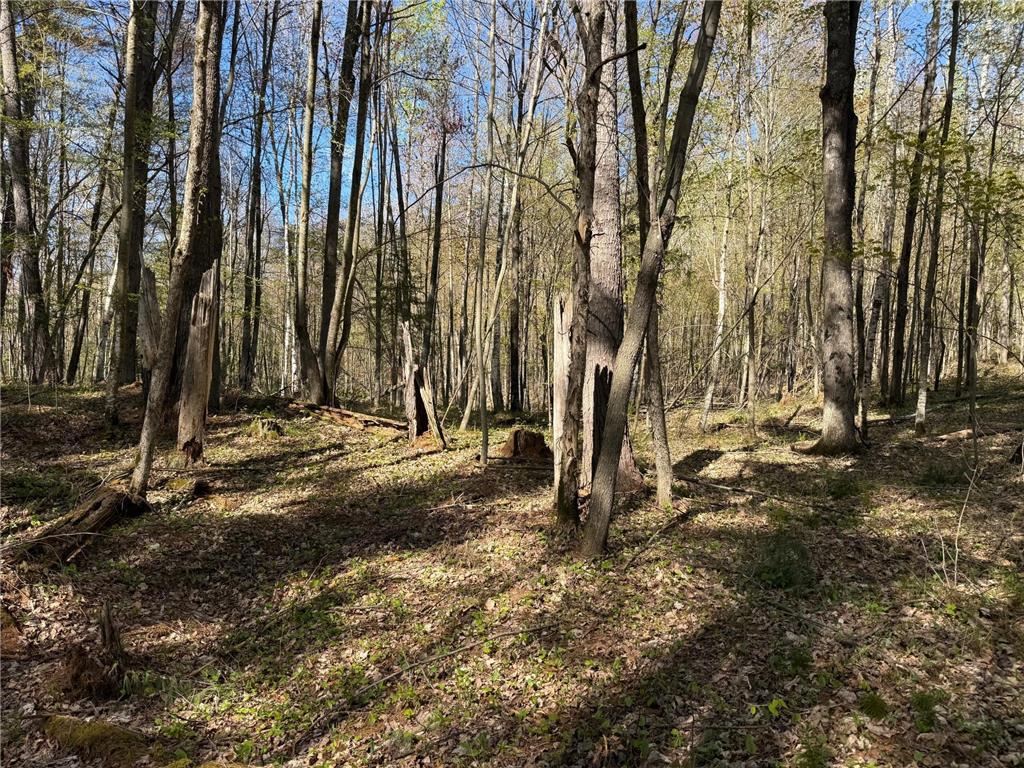 TBD Leonard Road Birchwood WI 54817 - Mud Lake 7075462 image5