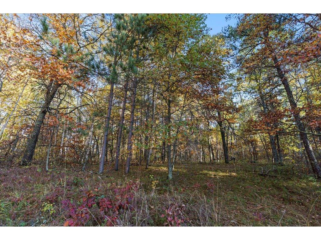 TBD Liedlwood Ln Ideal Twp MN 56472 - Whitefish Lake 7075245 image22