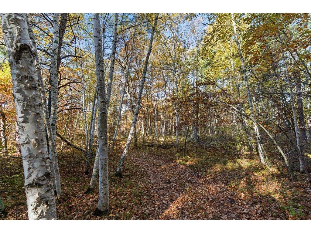 TBD Liedlwood Ln Ideal Twp MN 56472 - Whitefish Lake 7075245 image23