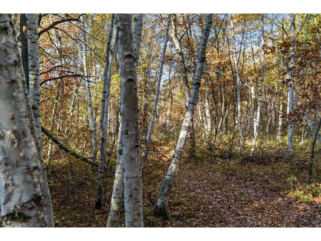 TBD Liedlwood Ln Ideal Twp MN 56472 - Whitefish Lake 7075245 image24