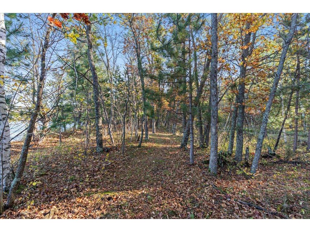 TBD Liedlwood Ln Ideal Twp MN 56472 - Whitefish Lake 7075245 image25