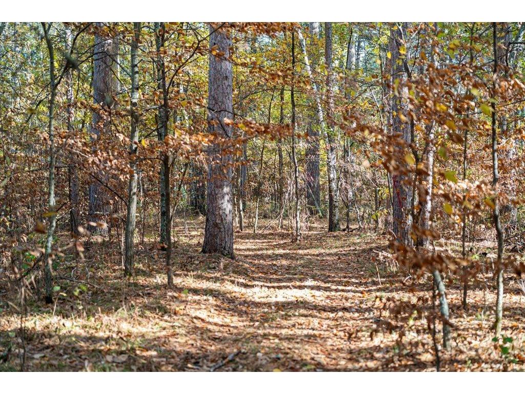 TBD Liedlwood Ln Ideal Twp MN 56472 - Whitefish Lake 7075245 image27