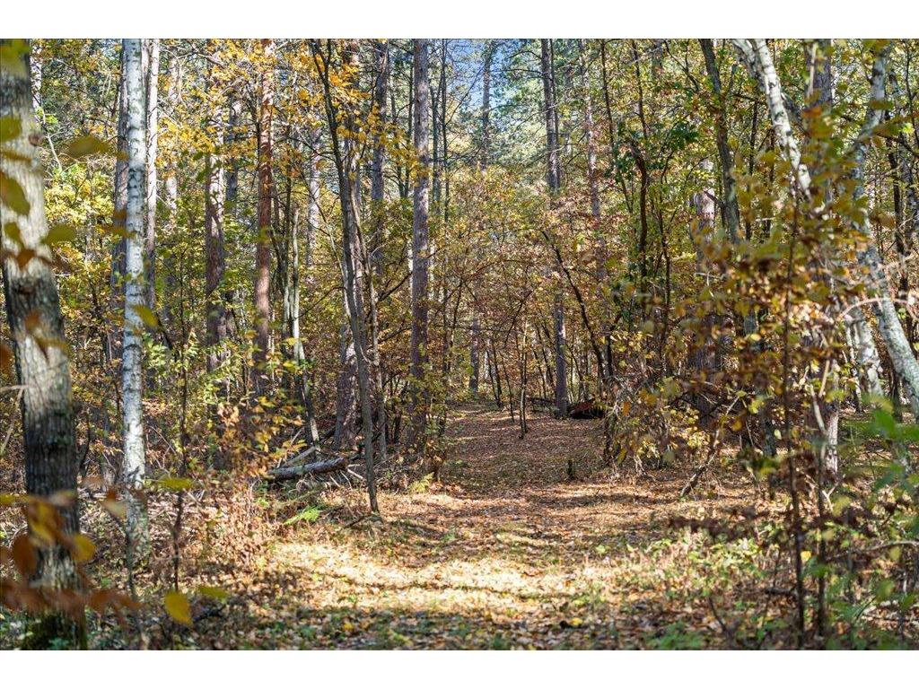 TBD Liedlwood Ln Ideal Twp MN 56472 - Whitefish Lake 7075245 image28