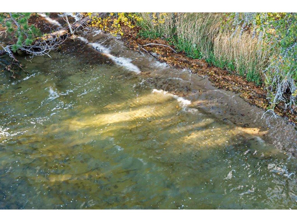TBD Liedlwood Ln Ideal Twp MN 56472 - Whitefish Lake 7075245 image3