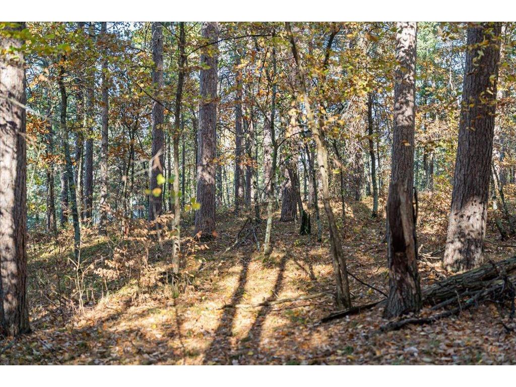 TBD Liedlwood Ln Ideal Twp MN 56472 - Whitefish Lake 7075245 image30