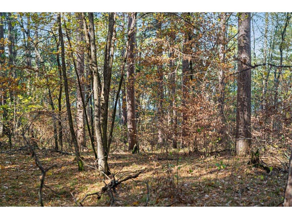 TBD Liedlwood Ln Ideal Twp MN 56472 - Whitefish Lake 7075245 image31